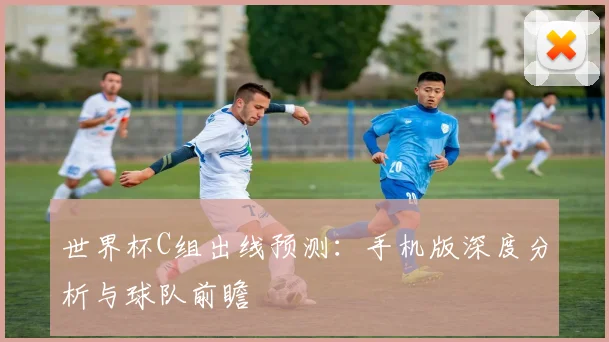 世界杯C组出线预测：手机版深度分析与球队前瞻