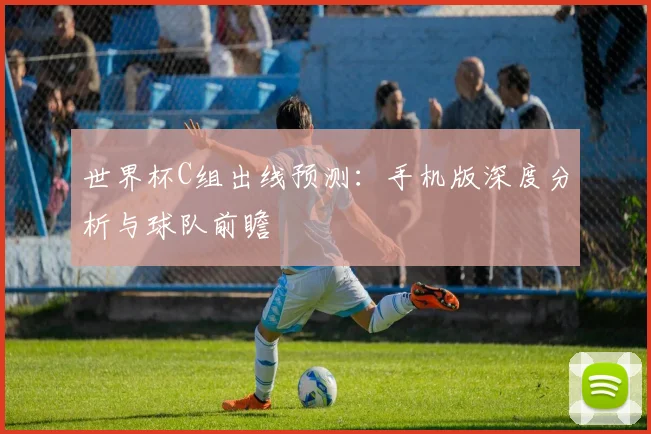 世界杯C组出线预测：手机版深度分析与球队前瞻