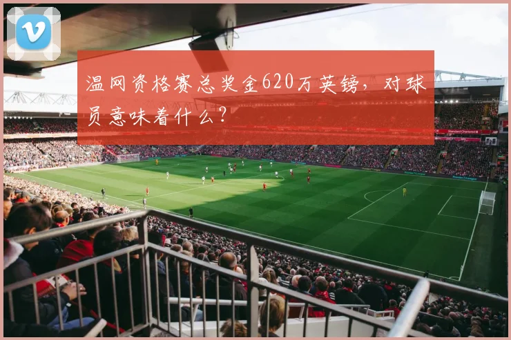 温网资格赛总奖金620万英镑，对球员意味着什么？